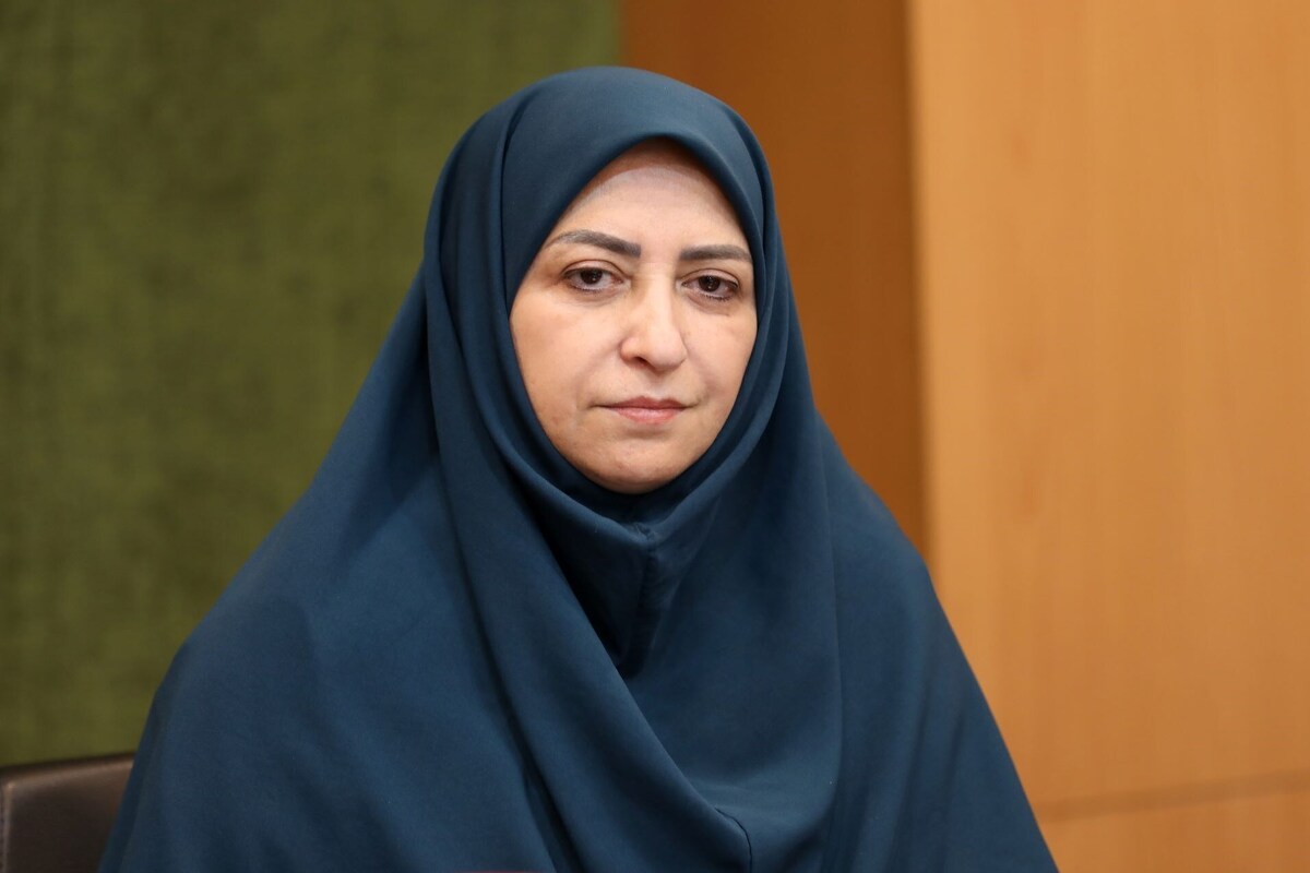 انصاری: ادعاهای رژیم صهیونیستی دروغ است/ بسیاری از غیرنظامیان ما مورد حمله قرار گرفتند + فیلم