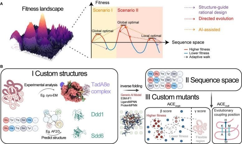 ابزار هوش مصنوعی قوانین مهندسی پروتئین را از نو مینویسد ابزار هوش مصنوعی قوانین مهندسی پروتئین را از نو مینویسد