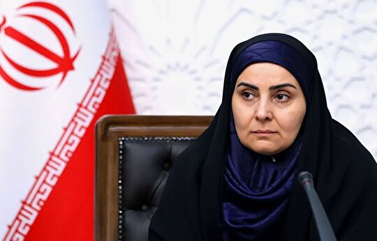نرخ بلیت رفت و برگشت هواپیما در ایام اربعین از تهران ۱۳ میلیون تومان و از استان‌های شرقی و مشهد ۱۵ میلیون تومان است