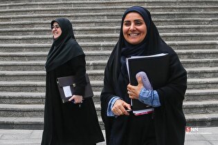 حاشیه جلسه هیات دولت