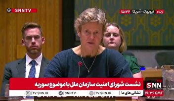 وود وارد: دولت فعلی سوریه باید هر چه سریعتر انتخابات برگزار کند