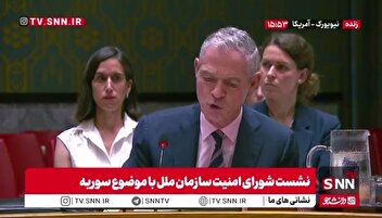 نماینده فرانسه در سازمان ملل: ایجاد صلح در سوریه فقط با گفت‌و‌گو و انتخابات انجام می‌شود