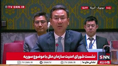 نماینده چین در سازمان ملل: وضعیت خاورمیانه هر روز بدتر می‌شود / جولان به سوریه تعلق دارد + فیلم