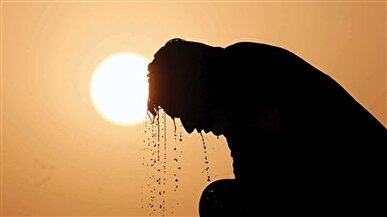 دمای ۵۰ درجه در انتظار استان بوشهر