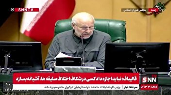 مجلس به کلیات لایحه حمایت از ایرانیان خارج از کشور رای داد
