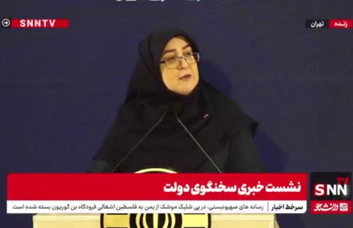 مهاجرانی: تمام تلاش دولت و حاکمیت این است که مردم به زندگی عادی برگردند + فیلم