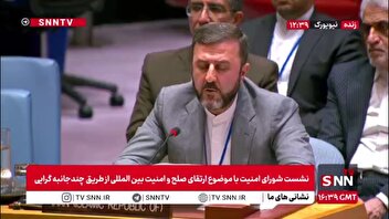 غریب آبادی: هرگونه تجاوزات باید به صراحت رد شود / شورای امنیت باید حافظ عدالت و صلح برای تمام کشورها باشد