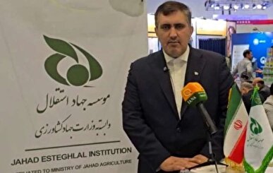 ١٠ هزار تن حبوبات تنظیم بازاری در هفته آینده توزیع می‌شود/ انبار‌های روغن مملو از ذخایر