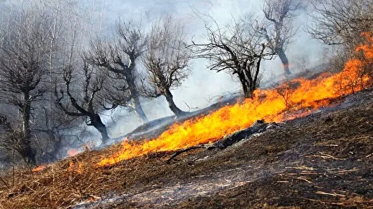 مهار شدن آتش‌سوزی در ۲ هکتار از اراضی ملی آمل