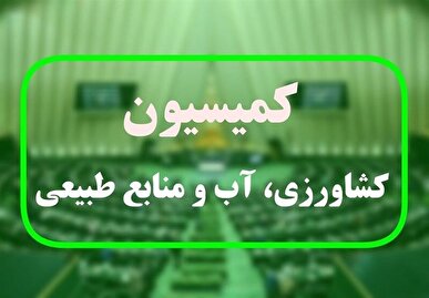 طرح دو فوریتی حمایت از تولید و تأمین مواد غذایی در کمیسیون کشاورزی تصویب شد