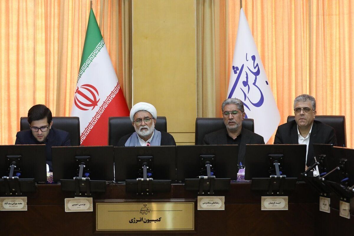معاون وزیر نفت درباره توزیع و پخش فرآوردههای نفتی به کمیسیون انرژی گزارش داد