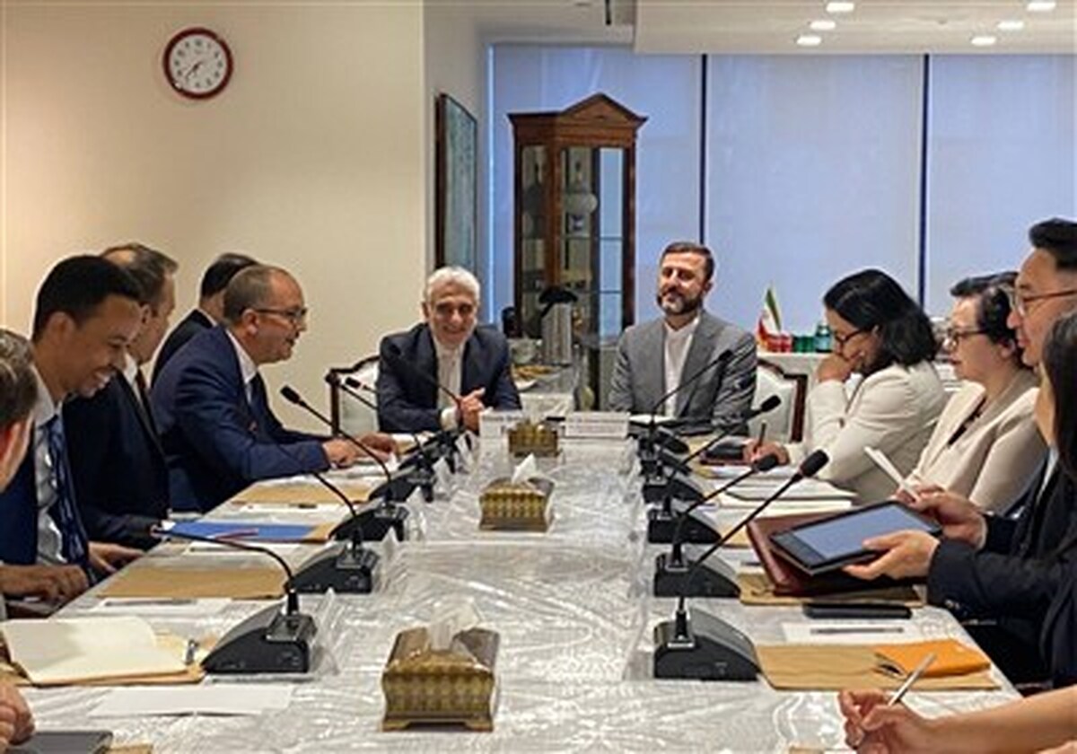 دیدار غریبآبادی با اعضای غیردائم شورای امنیت