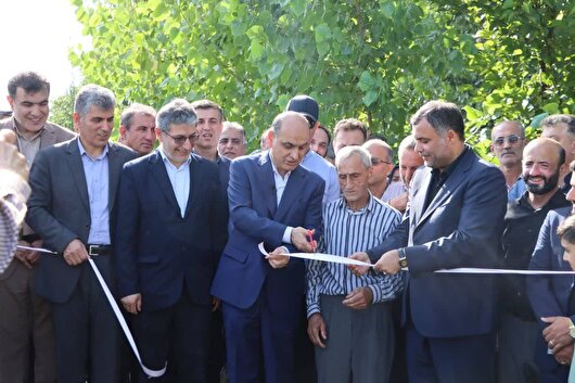 بهرهوری در تولید برنج؛ ضرورتی اجتنابناپذیر برای گیلان