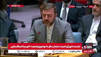 غریب آبادی: از اکتبر 2023، 59 هزار فلسطینی به شهادت رسیده اند / 2 میلیون نفر آواره و تمامی غزه ویران شده است