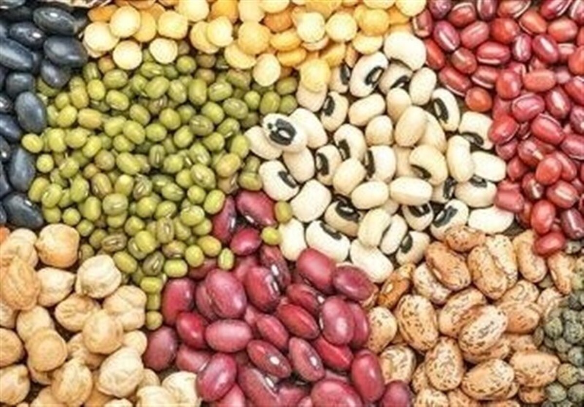 ۳۰ درصد حبوبات از طریق واردات تامین میشود