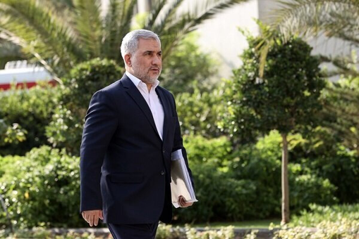اسماعیلی: معاونت پارلمانی تنها سخنگوی دولت در مجلس است
