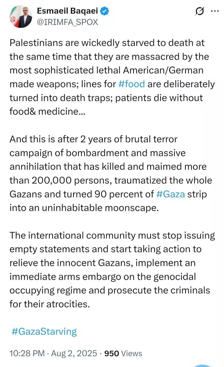 پیام بقایی راجع به ضرورت اقدام فوری برای کمک&zwnj;رسانی به غزه + عکس