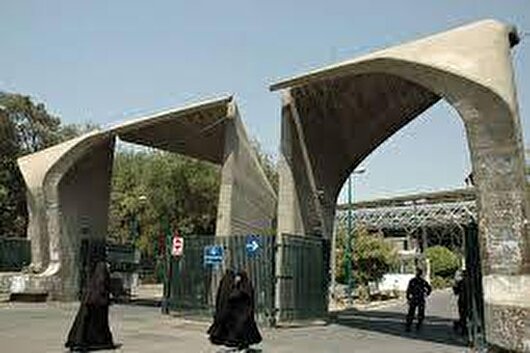 دانشگاه، مغز متفکر جامعه است؛ بدون اصلاح نظام آموزش عالی، اصلاح جامعه ممکن نیست