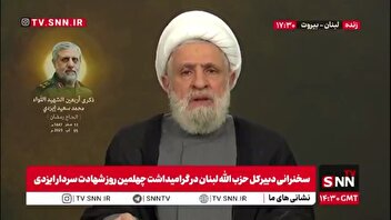 شیخ نعیم قاسم: ۶۰ هزار نفر در فلسطین به شهادت رسیده‌اند، صدها هزار نفر زخمی شده‌اند و ۲ میلیون نفر به‌طور دائم کوچانده شده‌اند