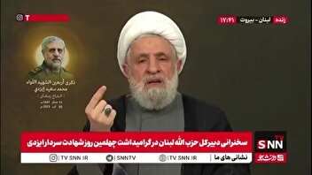 شیخ نعیم قاسم: دشمن فکر کرد می‌تواند اتفاقات سوریه را در لبنان تکرار کند