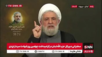 شیخ نعیم قاسم: استراتژی این نیست که برای خلع سلاح، جدول زمانی تعیین شود