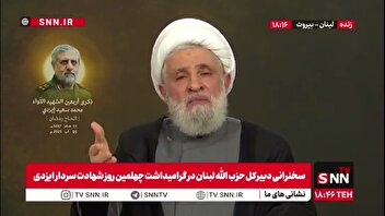 شیخ نعیم قاسم: ملی‌گرایان شریف لبنان با حزب‌الله هستند؛ احزاب نیز جزو مقاومت‌اند