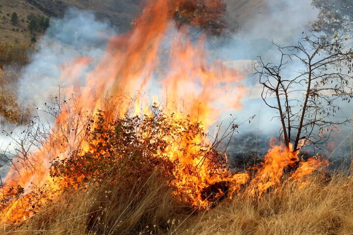 وعده&zwnj;های خاموش، طبیعت سوخته