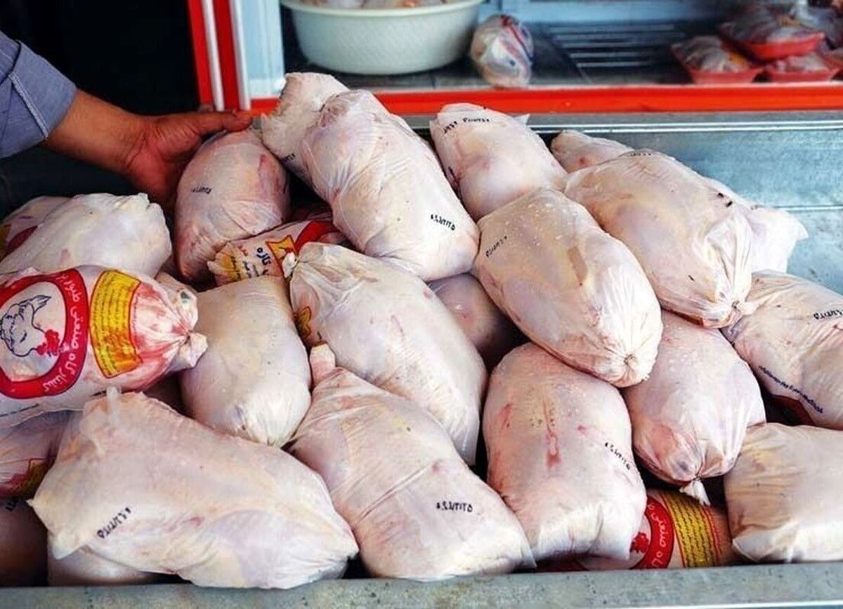 آمادگی توزیع مرغ منجمد بر اساس نیاز استانها