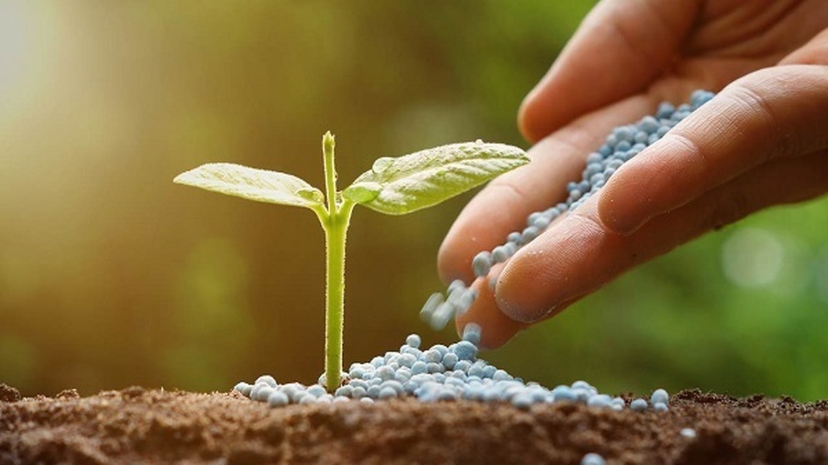 حذف سازمان حفظ نباتات؛ تصمیمی مدیریتی یا خطری برای کشاورزی؟