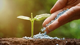 حذف سازمان حفظ نباتات؛ تصمیمی مدیریتی یا خطری برای کشاورزی؟