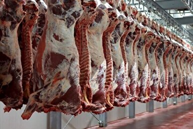 قیمت انواع گوشت گوساله و گوسفندی اعلام شد