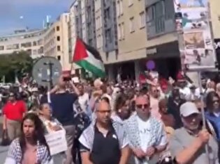حامیان فلسطین در مالمو سوئد با برپایی تجمعی نسل‌کشی و گرسنگی در غزه را محکوم کردند