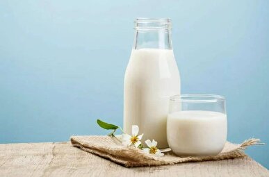مطالعه محققان نروژی: شیر پرچرب می‌تواند خطر بیماری‌های قلبی را افزایش دهد