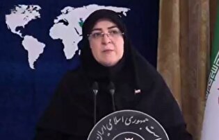 افزایش قیمت بنزین در حد طرح مسئله است؛ هیچ جمع‌بندی در این زمینه وجود ندارد