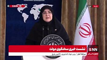 مهاجرانی: افزایش قیمت بنزین در حد طرح مسئله است؛  هیچ جمع‌بندی در این زمینه وجود ندارد