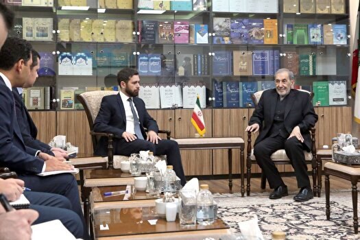 دیدار آقای ولایتی با معاون وزیر خارجه ارمنستان
