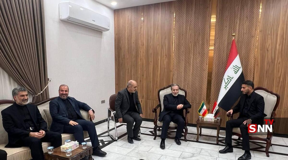 عراقچی وارد نجف اشرف شد