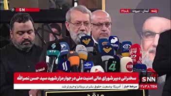 لاریجانی: حزب الله امروز یک حرکت زنده و پایدار است و باعث شرف و افتخار اسلام است