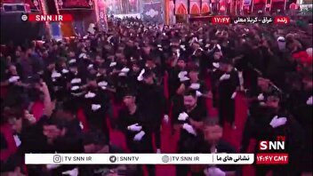 نمایی از ورود دسته های عزاداری به حرم حضرت سیدالشهدا (ع)