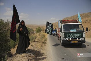 زائران پیاده حرم رضوی