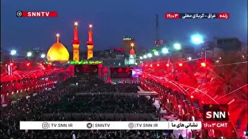 جمعیت دلدادگان حسینی در حرم حضرت سیدالشهدا(ع)