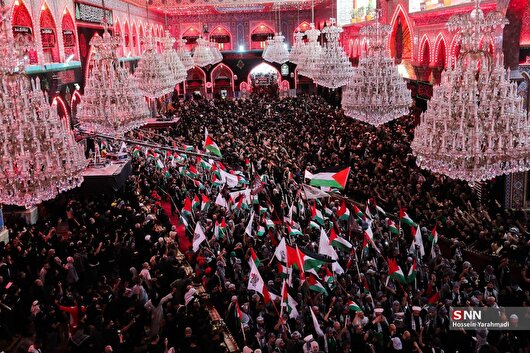 رفراندوم اربعین برگزار شد / غرب جرأت بازتاب ندارد! + عکس و فیلم