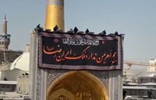 تعویض کتیبه حرم امام رضا (ع) به مناسبت فرارسیدن ایام پایانی ماه صفر