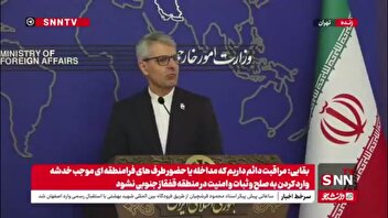 بقایی: سطح مراودات ما با آژانس تغییر کرده؛ منکر آن نیستیم اما رابطه مستقیم با آژانس داریم