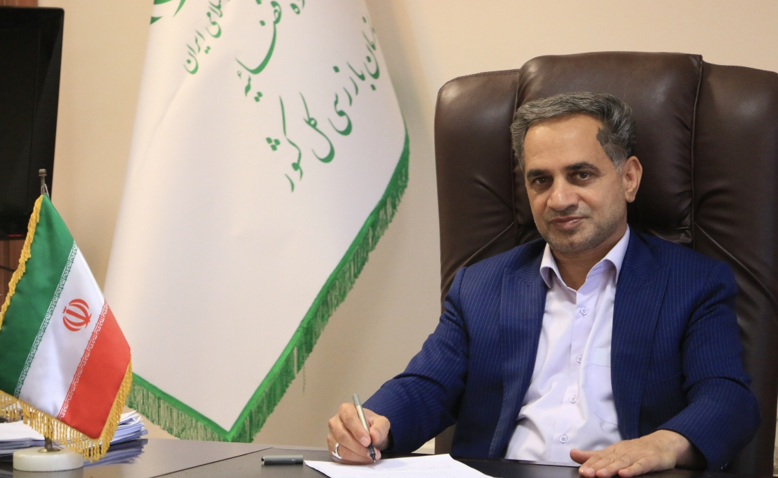 انتقاد بازرس کل استان کرمان نسبت به سهم کرمان از خاموشی‌های برق