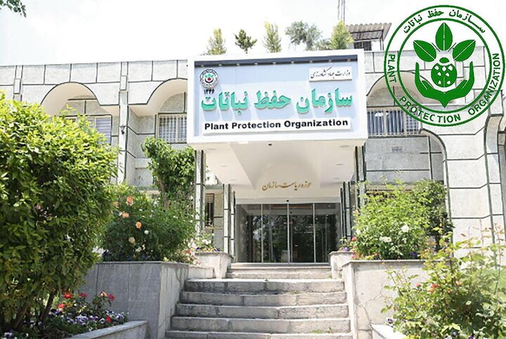 انحلال سازمان حفظ نباتات چه پیامد‌هایی برای تجارت و کشاورزی ایران خواهد داشت؟