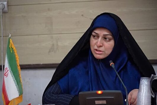 پیگیری طرح تبدیل هر روستا به یک کارخانه در کرمان