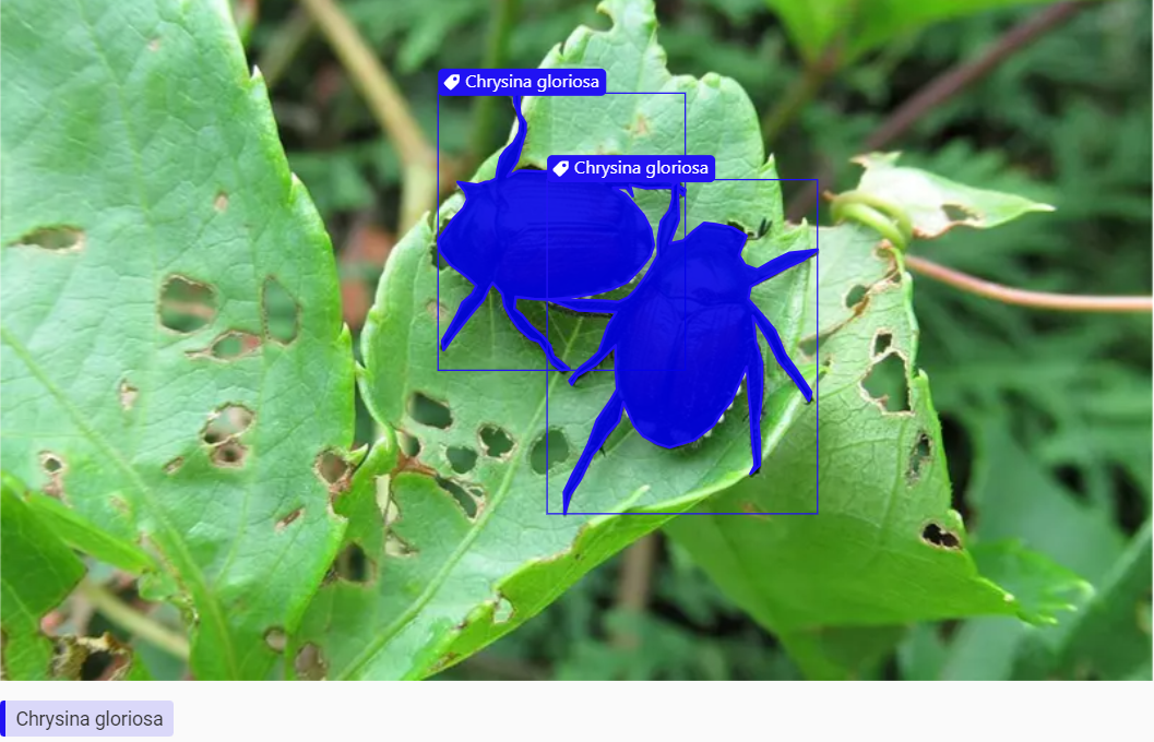 هوش مصنوعی وارد زمین های کشاورزی شد/ آینده کشاورزی با میدان داری هوش مصنوعی