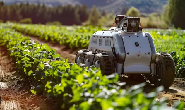 هوش مصنوعی وارد زمین های کشاورزی شد/ آینده کشاورزی با میدان داری هوش مصنوعی