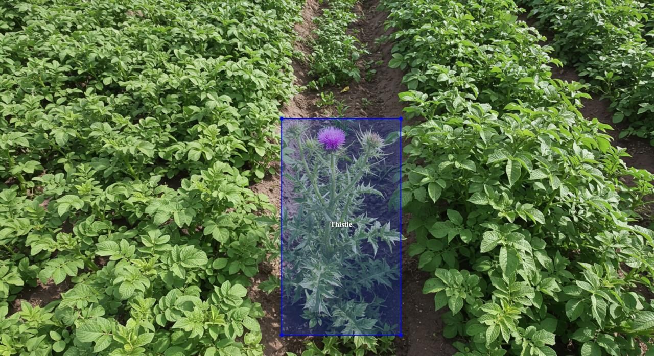 هوش مصنوعی وارد زمین های کشاورزی شد/ آینده کشاورزی با میدان داری هوش مصنوعی